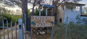 Podere le palme